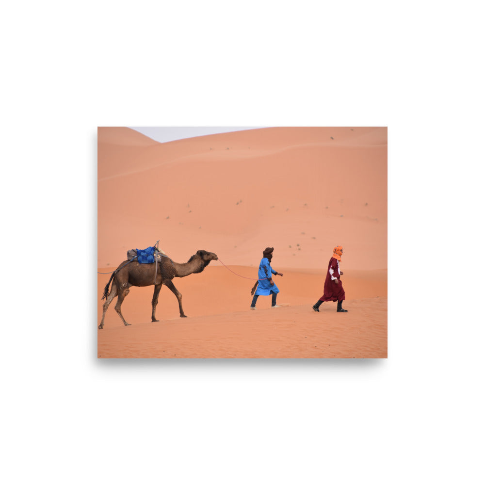 Camel in the Sahara Desert, Morocco - Photo Print