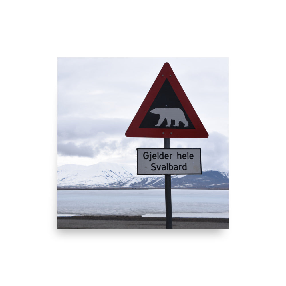Polar Bear Crossing Warning Sign in Svalbard, Norway - Photo Print
