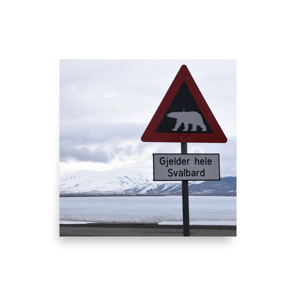 Polar Bear Crossing Warning Sign in Svalbard, Norway - Photo Print