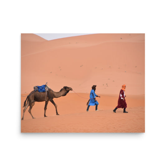 Camel in the Sahara Desert, Morocco - Photo Print